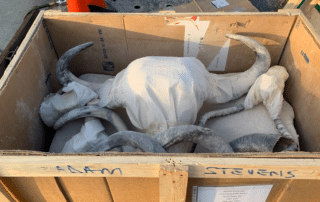 Are you planning to import hunting trophies through Atlanta