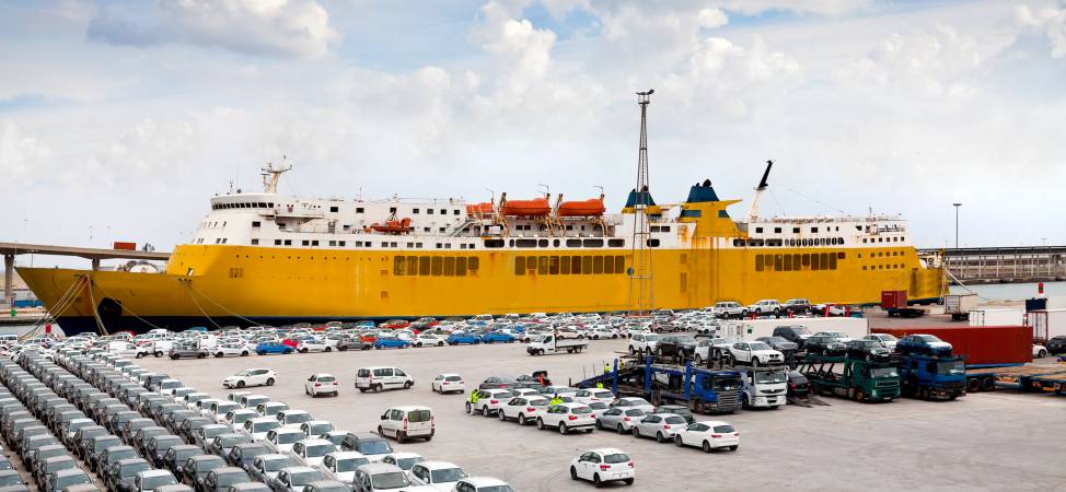 Vehicle Export Specialists